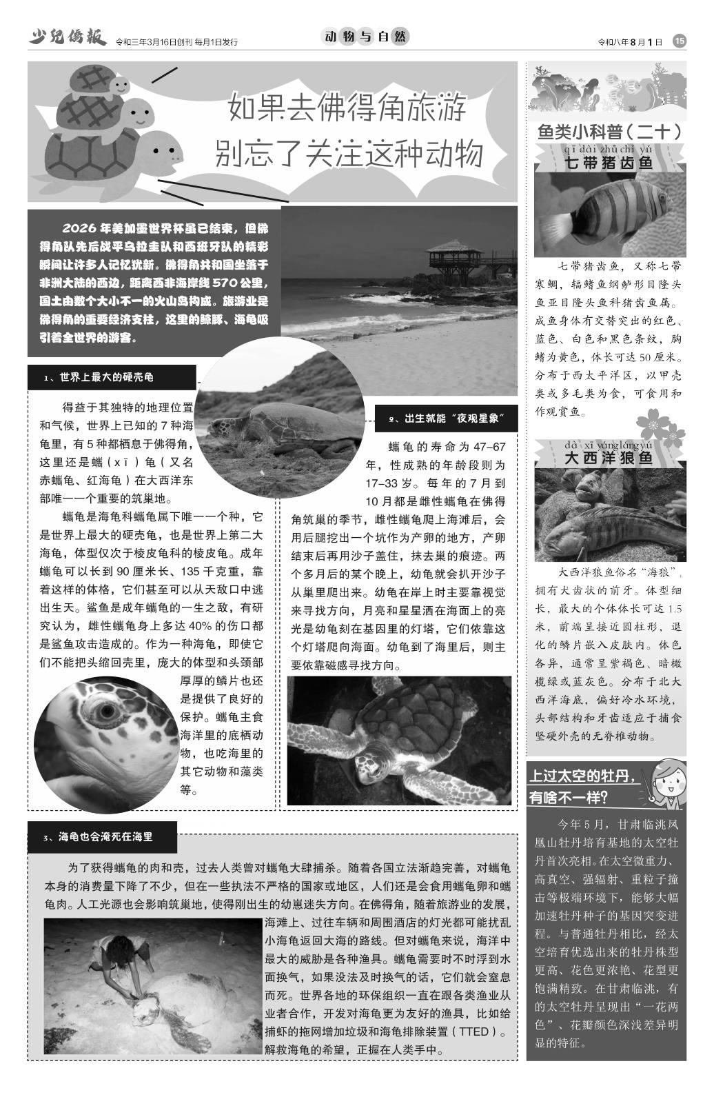 《少儿侨报》第 65 期第 15 版